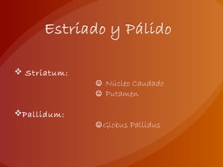  Striatum:
☺ Núcleo Caudado
☺ Putamen
Pallidum:
☺Globus Pallidus
 