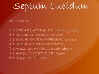 PRESENTA:
☺ 2 CARAS LATERALES : planas y lisas.
☺ 1 BORDE SUPERIOR : convexo
☺ 1 BORDE ANTEROINFERIOR: convexo
☺ 1 BORDE POSTEROINFERIOR
☺ 1 ÁNGULO ANTERIOR: redondeado
☺ 1 ÁNGULO POSTERIOR: agudo
☺ 1 ÁNGULO INFERIOR
 