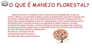 O QUE É MANEJO FLORESTAL?
Manejo florestal é a utilização racional e ambientalmente adequada dos recursos da
floresta. Manejo é uma atividade econômica oposta ao desmatamento, pois não há remoção total
da floresta e mesmo após o uso o local manterá sua estrutura florestal. O manejo bem feito
segue três princípios fundamentais: deve ser ecologicamente correto, economicamente viável e
socialmente justo. O princípio da técnica de exploração de impacto reduzido - principal
ferramenta do manejo florestal - é extrair produtos da floresta de maneira que os impactos
gerados sejam mínimos, possibilitando a manutenção da estrutura florestal e sua recuperação,
por meio do estoque de plantas remanescentes.
Diversificar a produção é um dos
princípios mais importantes para o
uso sustentável dos recursos florestais.
 