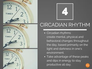 4
CIRCADIAN RHYTHM
Circadian rhythms
create mental, physical and
behavioral changes throughout
the day, based primarily on...