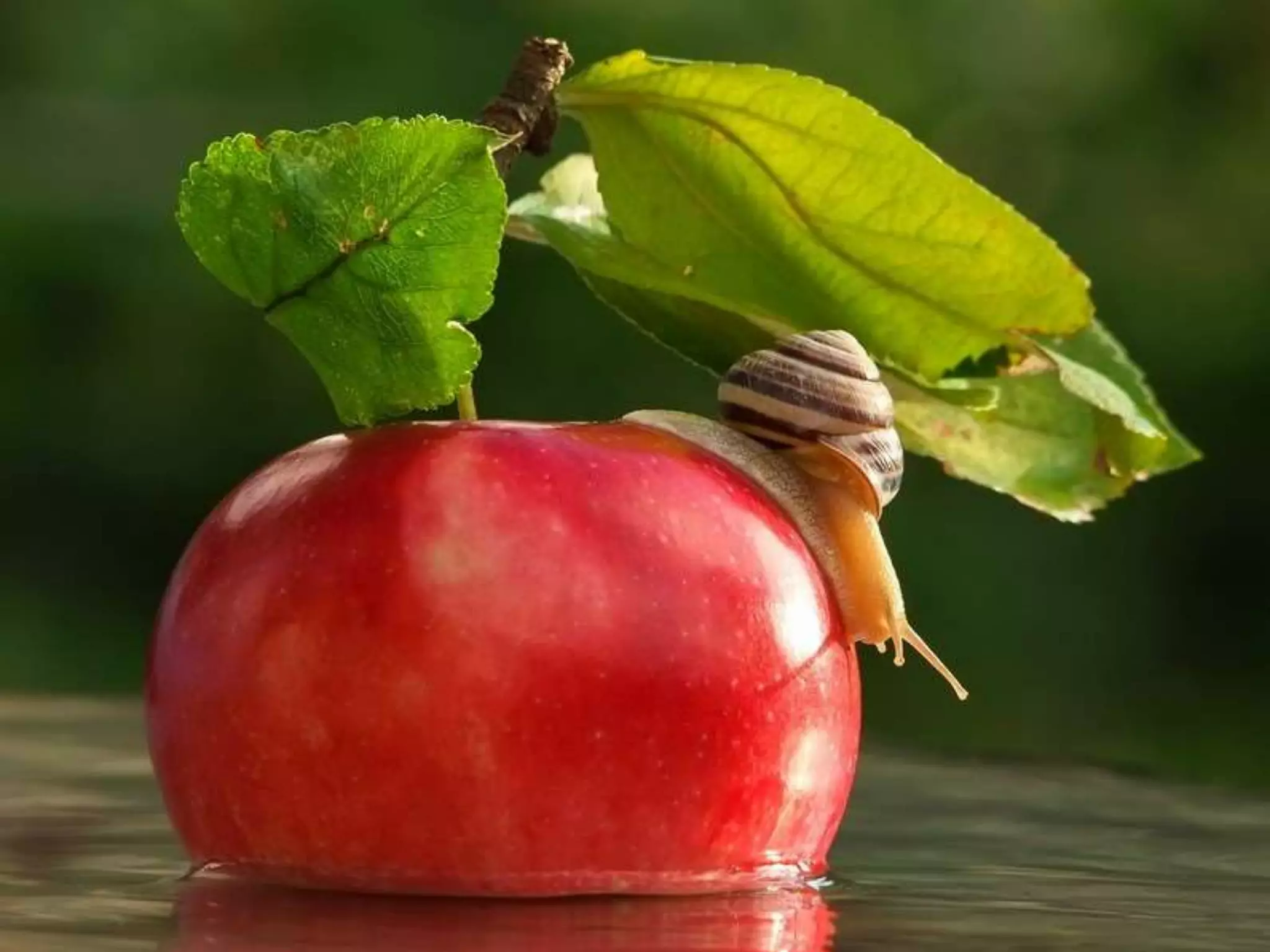 8 ways to refresh yourself