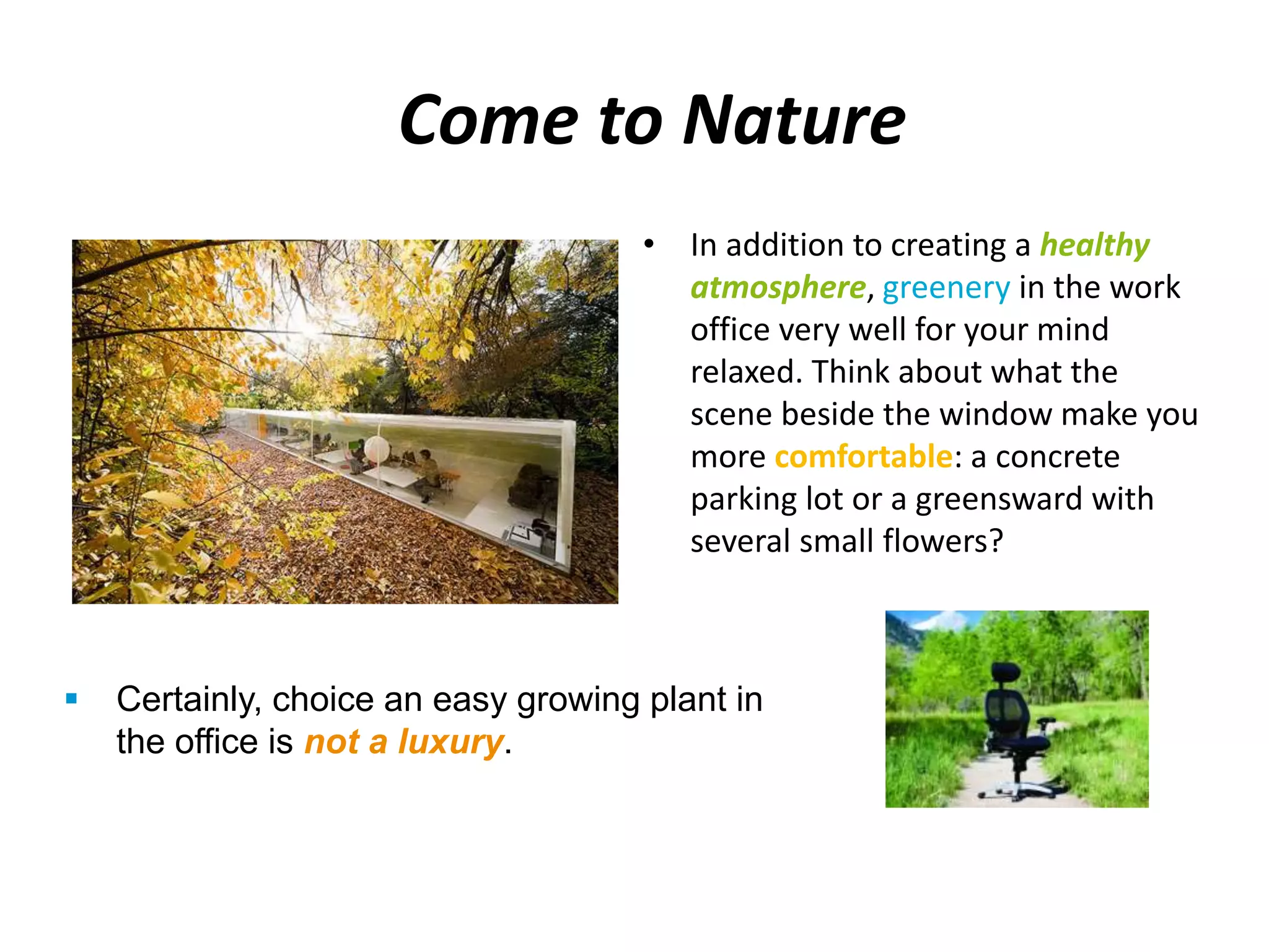 Come to Nature 
• In addition to creating a healthy 
atmosphere, greenery in the work 
office very well for your mind 
relaxed. Think about what the 
scene beside the window make you 
more comfortable: a concrete 
parking lot or a greensward with 
several small flowers? 
 Certainly, choice an easy growing plant in 
the office is not a luxury. 
 
