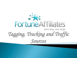 Tagging, Tracking and Traffic
Sources
 