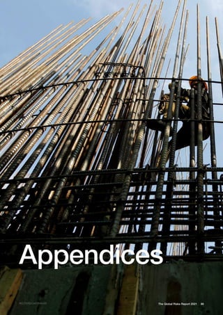 REUTERS/CHITRAKAR 86
The Global Risks Report 2021
Appendices
 