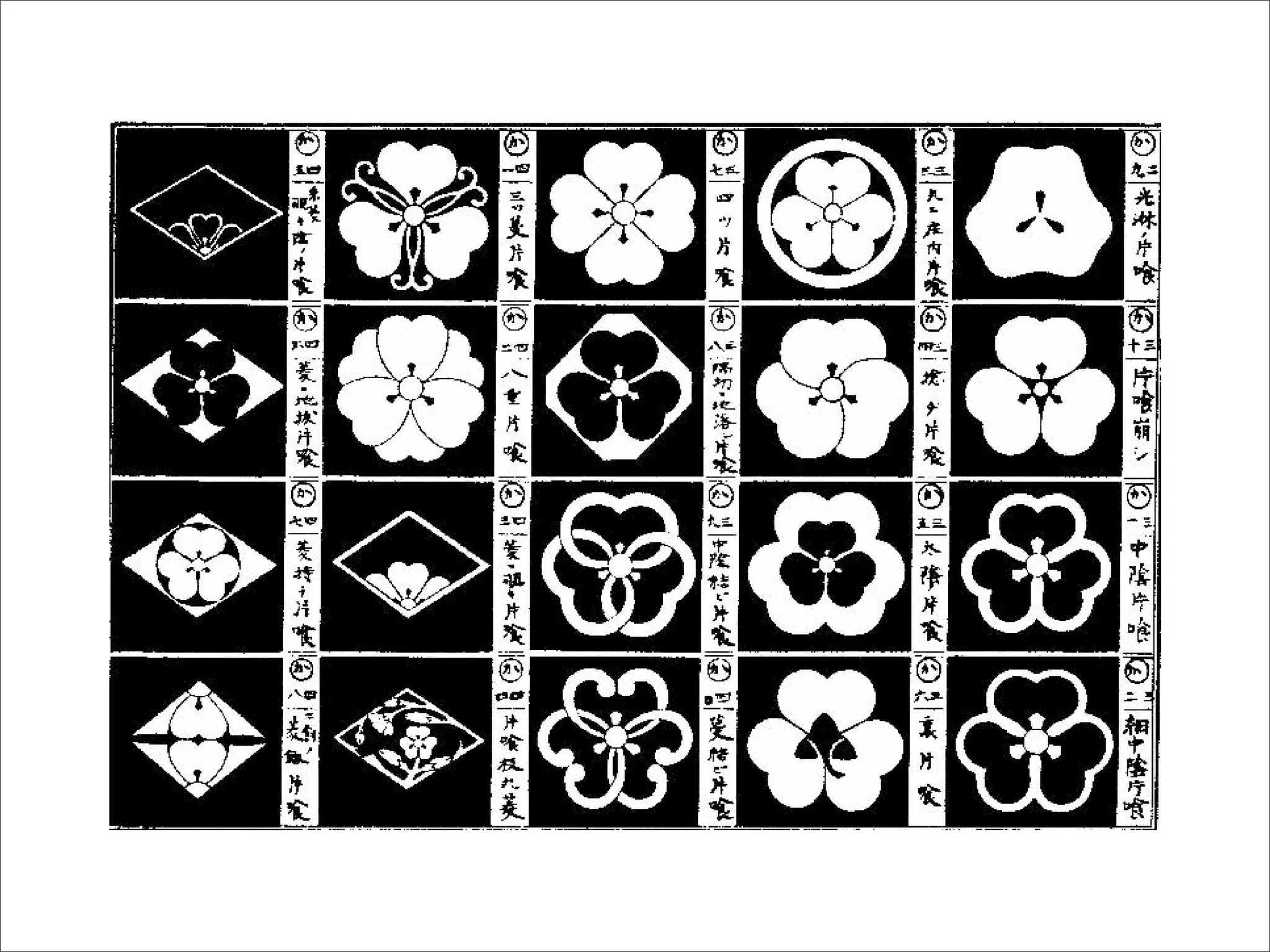 USING WHITESPACE (Intro to GD, Wk 8)