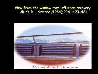 View from the window may influence recovery
Ulrich R . Science (1984);224 :420-421
 