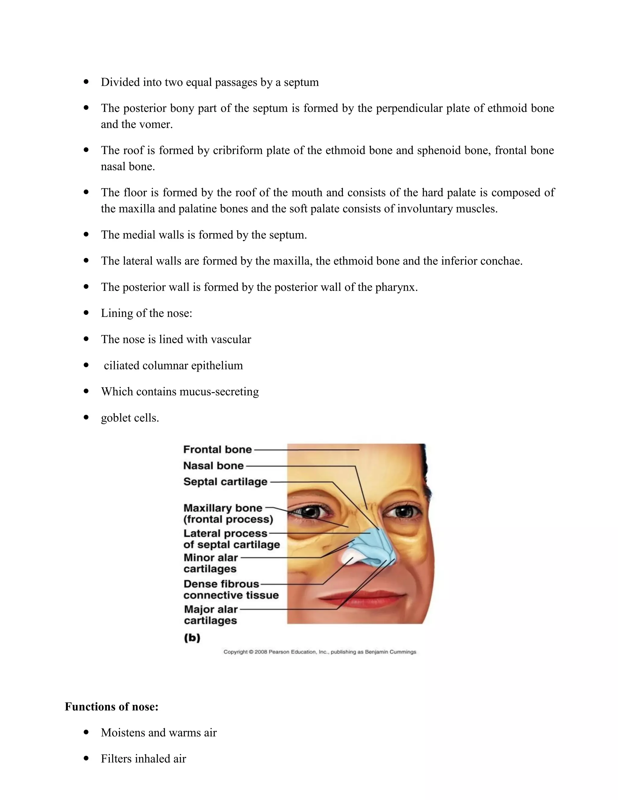  Divided into two equal passages by a septum
 The posterior bony part of the septum is formed by the perpendicular plate of ethmoid bone
and the vomer.
 The roof is formed by cribriform plate of the ethmoid bone and sphenoid bone, frontal bone
nasal bone.
 The floor is formed by the roof of the mouth and consists of the hard palate is composed of
the maxilla and palatine bones and the soft palate consists of involuntary muscles.
 The medial walls is formed by the septum.
 The lateral walls are formed by the maxilla, the ethmoid bone and the inferior conchae.
 The posterior wall is formed by the posterior wall of the pharynx.
 Lining of the nose:
 The nose is lined with vascular
 ciliated columnar epithelium
 Which contains mucus-secreting
 goblet cells.
Functions of nose:
 Moistens and warms air
 Filters inhaled air
 