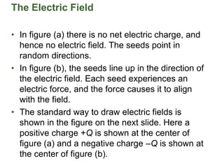 The Electric Field
• In figure (a) there is no net electric charge, and
hence no electric field. The seeds point in
random directions.
• In figure (b), the seeds line up in the direction of
the electric field. Each seed experiences an
electric force, and the force causes it to align
with the field.
• The standard way to draw electric fields is
shown in the figure on the next slide. Here a
positive charge +Q is shown at the center of
figure (a) and a negative charge –Q is shown at
the center of figure (b).
 