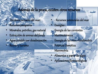 Además de la pesca, existen otros recursos
• Recursos actualesdel mar:
• Recursos pesqueros
• Minerales, petróleo, gas natural
• Extracción de arenas del fondo
• Agua potable por desalinización
• Recreo y turismo
• · Recursos potenciales del mar
• Energías:
- Energía de las corrientes
- Maremotérmica
- Energía de las olas o Undimotriz
- PotenciaOsmótica
- Maremotriz
• Alimentos a partir de algas
• Aplicaciones farmacológicas
 
