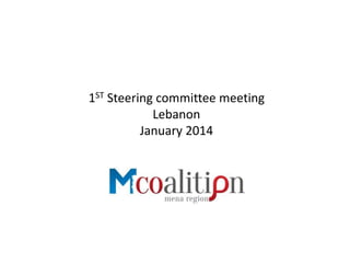 1ST Steering committee meeting
Lebanon
January 2014
 