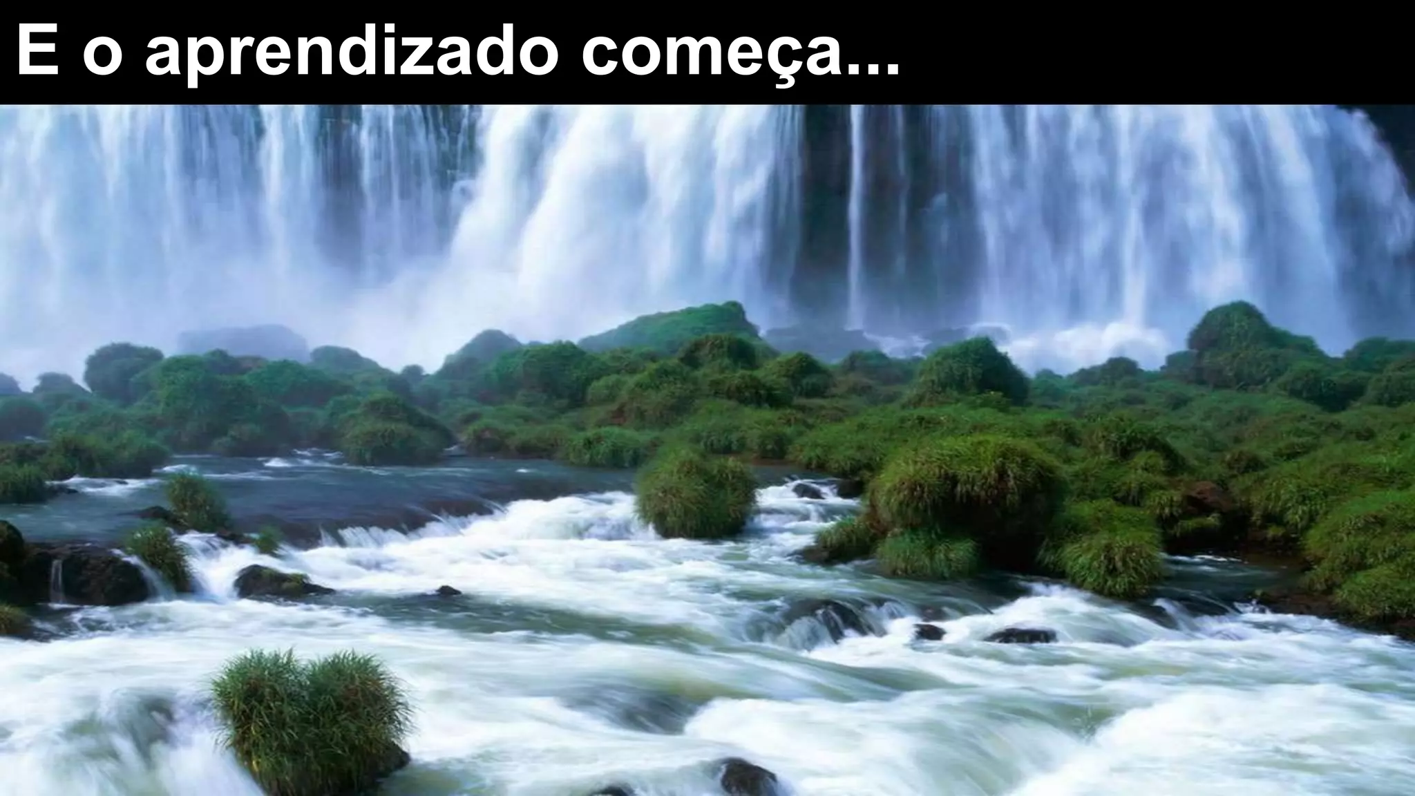 E o aprendizado começa...
 