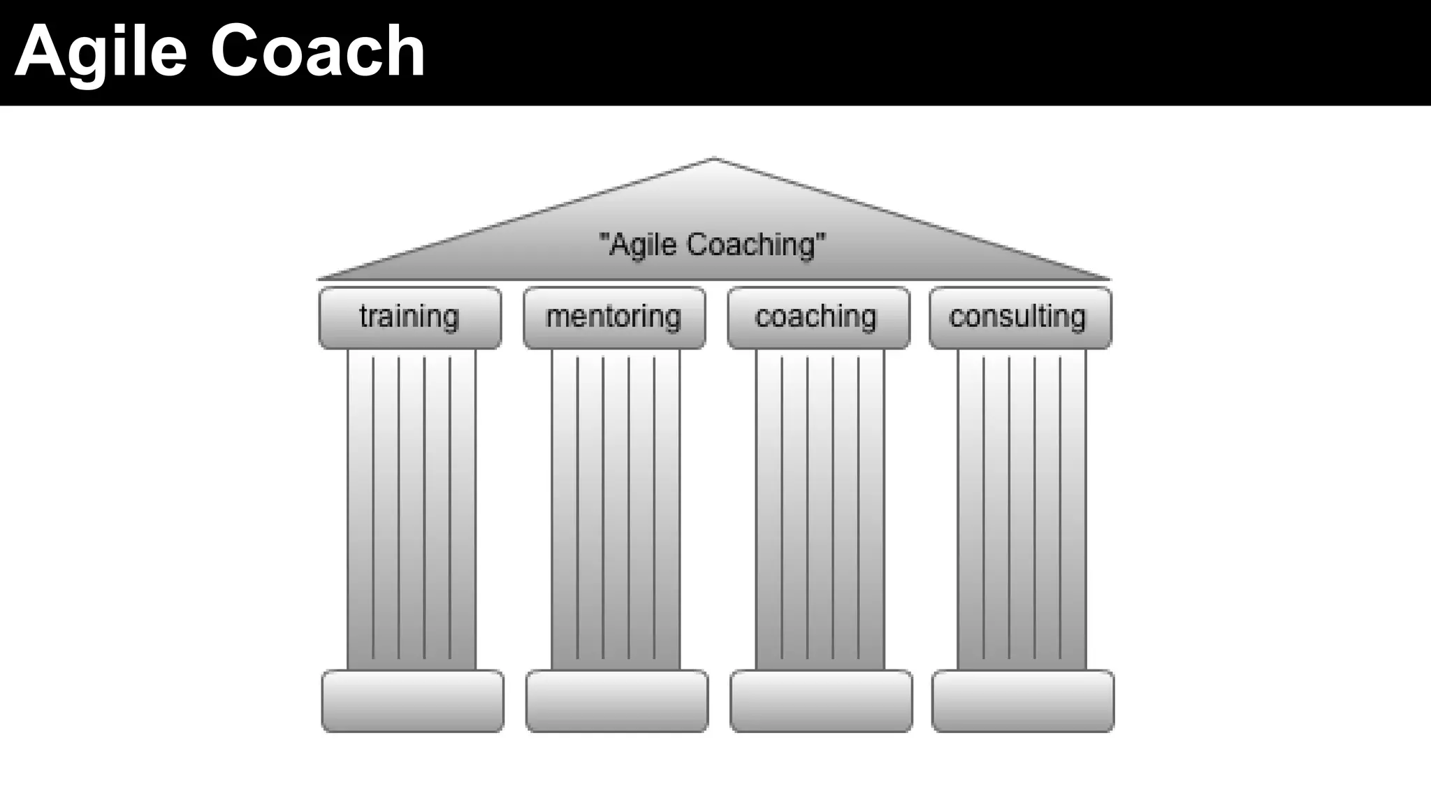 Agile Coach
 