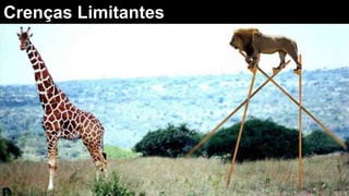 Crenças Limitantes
 