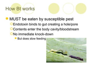 organic-pesticides | PPT
