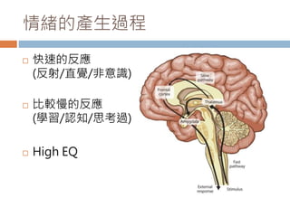 情緒的產生過程 
 快速的反應 
(反射/直覺/非意識) 
 比較慢的反應 
(學習/認知/思考過) 
 High EQ 
 