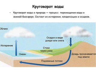 Круговорот воды Круговорот воды в природе — процесс  перемещения воды в земной биосфере. Состоит из испарения, конденсации и осадков.   
