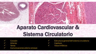 Aparato Cardiovascular &
Sistema Circulatorio
 Corazón
 Arterias
 Venas
 Comunicaciones arterio-venosas
 Estructura general del sistema circulatorio
 Capilares
 Vasos linfáticos
 