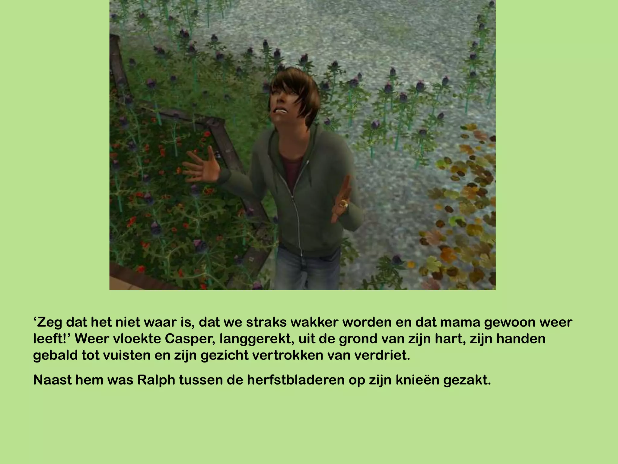 ‘Zeg dat het niet waar is, dat we straks wakker worden en dat mama gewoon weer
leeft!’ Weer vloekte Casper, langgerekt, uit de grond van zijn hart, zijn handen
gebald tot vuisten en zijn gezicht vertrokken van verdriet.
Naast hem was Ralph tussen de herfstbladeren op zijn knieën gezakt.
 