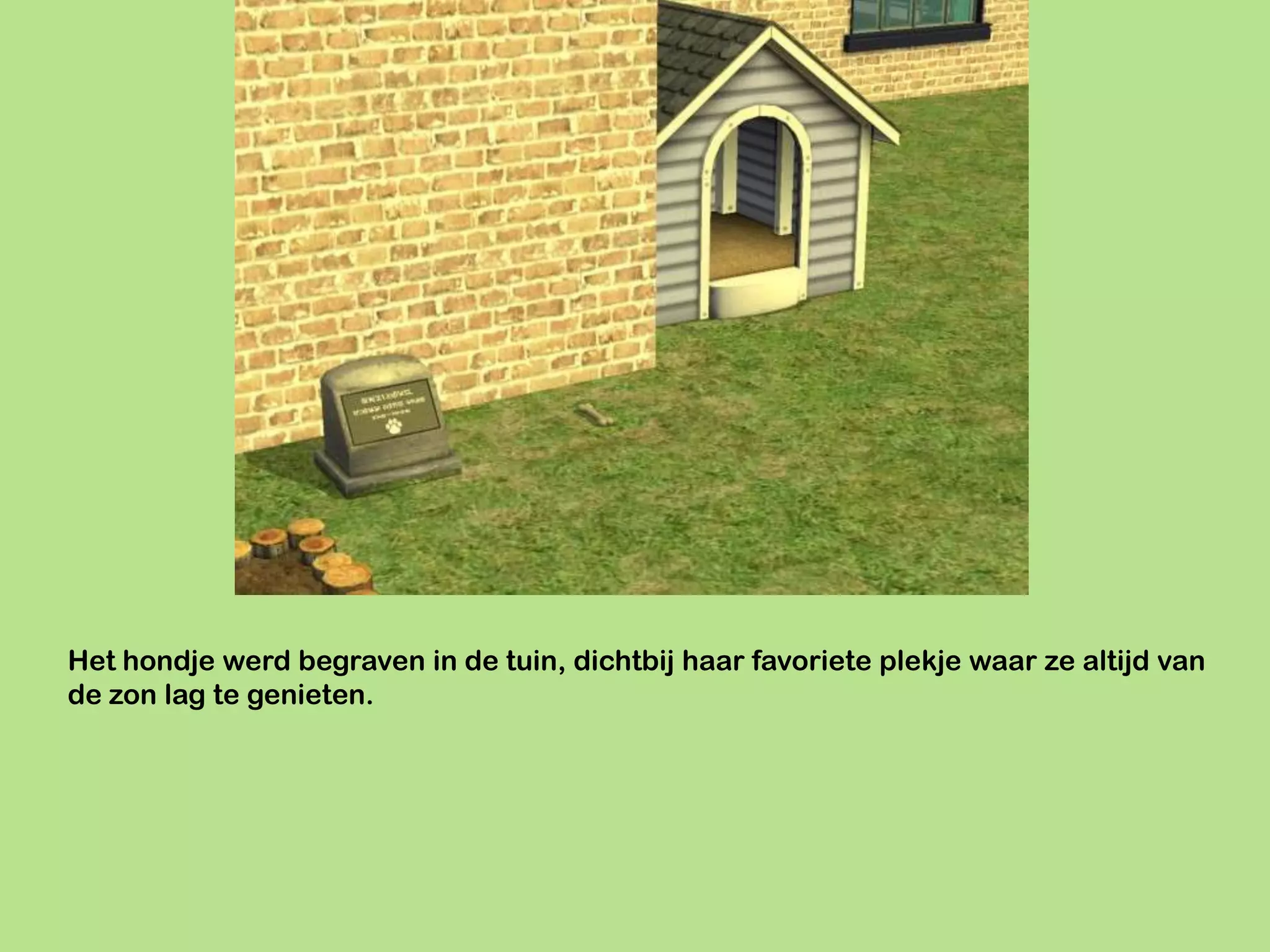 Het hondje werd begraven in de tuin, dichtbij haar favoriete plekje waar ze altijd van
de zon lag te genieten.
 