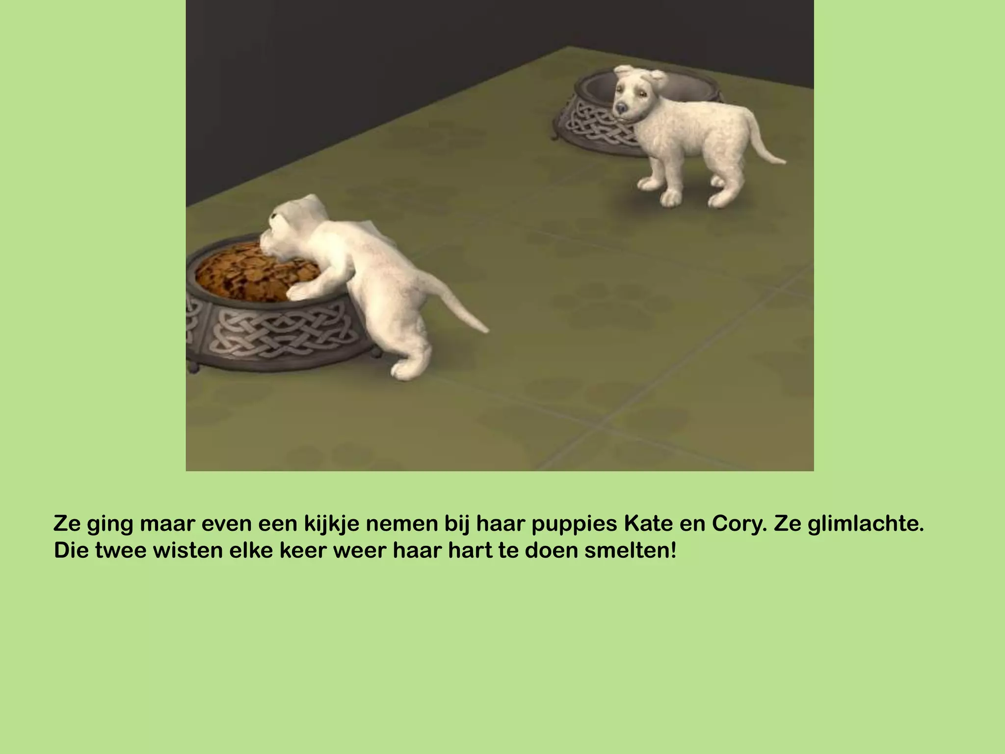 Ze ging maar even een kijkje nemen bij haar puppies Kate en Cory. Ze glimlachte.
Die twee wisten elke keer weer haar hart te doen smelten!
 