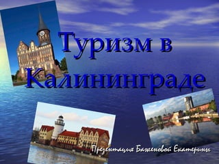 Туризм в Калининграде Презентация Баженовой Екатерины 