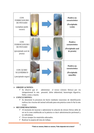 5
“Todo es veneno, Nada es veneno, Todo depende de la dosis“
 OBSERVACIONES:
 Se observó que al administrar el toxico (cloruro férrico) por vía
intraperitoneal la rata presentó: dolor abdominal, hemorragia digestiva,
fiebre, coma y muerte.
 CONCLUSIONES:
 Se determinó la presencia de hierro mediante reacciones de identificación
realiza a las vísceras del animal utilizado para esta práctica como lo fue la rata
wistar.
 RECOMENDACIONES:
 Al momento de inyectar o administrar la solución de cloruro férrico debe de
ser en la zona establecida en la práctica es decir administración peritoneal y
no subcutánea.
 Llevar siempre los materiales adecuados.
 Realizar la asepsia del área de trabajo.
CON
FERRICIANURO
DE POTASIO
(complejo pardo
oscuro)
Positivo no
característico
(Precipitado
verde)
CON
FERROCIANURO
DE POTASIO
(precipitado azul de
prusia)
Positivo
característico
(Precipitado azul
de prusia)
CON ÁCIDO
SULFHÍDRICO
( precipitado negro)
Positivo no
característico
(Precipitado
amarillo)
 