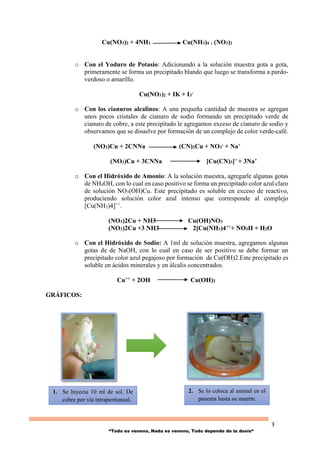 3
“Todo es veneno, Nada es veneno, Todo depende de la dosis“
Cu(NO3)2 + 4NH3 Cu(NH3)4 . (NO3)2
o Con el Yoduro de Potasio: Adicionando a la solución muestra gota a gota,
primeramente se forma un precipitado blando que luego se transforma a pardo-
verdoso o amarillo.
Cu(NO3)2 + IK + I3
-
o Con los cianuros alcalinos: A una pequeña cantidad de muestra se agregan
unos pocos cristales de cianuro de sodio formando un precipitado verde de
cianuro de cobre, a este precipitado le agregamos exceso de cianuro de sodio y
observamos que se disuelve por formación de un complejo de color verde-café.
(NO3)Cu + 2CNNa (CN)2Cu + NO3
- + Na+
(NO3)Cu + 3CNNa [Cu(CN)3]= + 3Na+
o Con el Hidróxido de Amonio: A la solución muestra, agregarle algunas gotas
de NH4OH, con lo cual en caso positivo se forma un precipitado color azul claro
de solución NO3(OH)Cu. Este precipitado es soluble en exceso de reactivo,
produciendo solución color azul intenso que corresponde al complejo
[Cu(NH3)4]++
.
(NO3)2Cu + NH3 Cu(OH)NO3
(NO3)2Cu +3 NH3 2[Cu(NH3)4+++ NO3H + H2O
o Con el Hidróxido de Sodio: A 1ml de solución muestra, agregamos algunas
gotas de de NaOH, con lo cual en caso de ser positivo se debe formar un
precipitado color azul pegajoso por formación de Cu(OH)2.Este precipitado es
soluble en ácidos minerales y en álcalis concentrados.
Cu++ + 2OH Cu(OH)2
GRÁFICOS:
1. Se Inyecta 10 ml de sol. De
cobre por vía intraperitoneal.
2. Se lo coloca al animal en el
panema hasta su muerte.
 