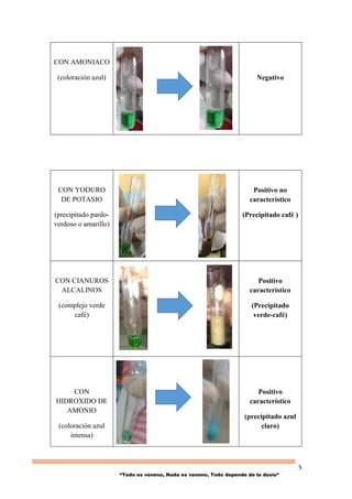 5
“Todo es veneno, Nada es veneno, Todo depende de la dosis“
CON AMONIACO
(coloración azul) Negativo
CON YODURO
DE POTASIO
(precipitado pardo-
verdoso o amarillo)
Positivo no
característico
(Precipitado café )
CON CIANUROS
ALCALINOS
(complejo verde
café)
Positivo
característico
(Precipitado
verde-café)
CON
HIDROXIDO DE
AMONIO
(coloración azul
intensa)
Positivo
característico
(precipitado azul
claro)
 