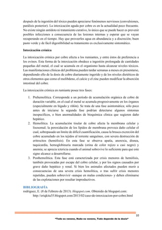 10
“Todo es veneno, Nada es veneno, Todo depende de la dosis“
después de la ingestión del tóxico pueden apreciarse fenómenos nerviosos (convulsiones,
parálisis posterior). La intoxicación aguda por cobre es en la actualidad poco frecuente.
No existe ningún antídoto ni tratamiento curativo, lo único que se puede hacer es prevenir
posibles infecciones a consecuencia de las lesiones internas y esperar que se vayan
recuperando en el tiempo. Hay que proveerles agua en abundancia y a discreción; buen
pasto verde y de fácil digestibilidad su tratamiento es exclusivamente sintomático.
Intoxicación crónica
La intoxicación crónica por cobre afecta a los rumiantes, y entre éstos de preferencia a
los ovinos. Esta forma de la intoxicación obedece a ingestión prolongada de cantidades
pequeñas del metal, el cual se acumula en el organismo hasta alcanzar niveles tóxicos.
Las manifestaciones clínicas del problema pueden tardar semanas a meses en presentarse,
dependiendo ello de la dosis de cobre diariamente ingerido y de los niveles dietéticos de
otros elementos que como el molibdeno, el calcio y el zinc pueden modificar la absorción
intestinal del cobre.
La intoxicación crónica en rumiante posee tres fases:
1. Prehemolítica. Corresponde a un período de acumulación orgánica de cobre de
duración variable, en el cual el metal se acumula progresivamente en los órganos
(especialmente en hígado y riñón). Se trata de una fase asintomática; sólo poco
antes de iniciarse la segunda fase podrían detectarse algunos síntomas
inespecíficos, o bien anormalidades de bioquímica clínica que sugieren daño
hepático.
2. Hemolítica. La acumulación tisular de cobre afecta la membrana celular y
lisosomal; la peroxidación de los lípidos de membrana provoca daño celular el
cual, sobrepasado un límite de difícil cuantificación, causa la brusca excreción del
cobre acumulado en los tejidos al torrente sanguíneo, con severa destrucción de
eritrocitos (hemólisis). En esta fase se observa apatía, anorexia, disnea,
taquicardia, hemoglobinuria marcada (orina de color rojizo a casi negro) y
anemia; se aprecia ictericia cuando el animal sobrevive lo suficiente para que este
signo alcance a desarrollarse.
3. Posthemolítica. Esta fase está caracterizada por crisis menores de hemólisis,
también provocadas por escape del cobre celular, y por los signos causados por
grave daño hepático y renal. Si bien los animales afectados pueden morir a
consecuencias de una severa crisis hemolítica, o tras sufrir crisis menores
repetidas, pueden sobrevivir -aunque en malas condiciones- y deben eliminarse
de las explotaciones por resultar improductivos.
BIBLIOGRAFÍA
rodriguez, E. (8 de Febrero de 2013). blogspot.com. Obtenido de blogspot.com:
http://eriqkita35.blogspot.com/2013/02/caso-de-intoxicacion-por-cobre.html
 