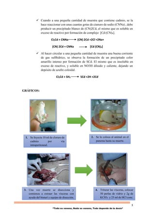 3
“Todo es veneno, Nada es veneno, Todo depende de la dosis“
 Cuando a una pequeña cantidad de muestra que contiene cadmio, se la
hace reaccionar con unas cuantas gotas de cianuro de sodio (CNNa) , debe
producir un precipitado blanco de (CN)2Cd, el mismo que es soluble en
exceso de reactivo por formación de complejo [Cd (CN)4].
Cl2Cd + CNNa (CN) 2Cd +2Cl-+2Na+
(CN) 2Cd + CNNa [Cd (CN)4]
 Al hacer circular a una pequeña cantidad de muestra una buena corriente
de gas sulfhídrico, se observa la formación de un precipitado color
amarillo intenso por formación de SCd. El mismo que es insoluble en
exceso de reactivo, y soluble en NO3H diluido y caliente, dejando un
depósito de azufre coloidal.
Cl2Cd + SH2 SCd +2H +2Cd-
GRÁFICOS:
1. Se Inyecta 10 ml de cloruro de
cadmio por vía
intraperitoneal.
3. Una vez muerte se disecciona y
comienza a extraer las vísceras con
ayuda del bisturí y equipo de disección.
4. Triturar las vísceras, colocar
50 perlas de vidrio y 2g de
KClO3 y 25 ml de HCl conc.
2. Se lo coloca al animal en el
panema hasta su muerte.
 