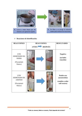 4
“Todo es veneno, Nada es veneno, Todo depende de la dosis“
 Reacciones de identificación:
REACCIONES REACCIONES
ANTES DESPUÉS
RESULTADOS
CON
HIDRÓXIDO DE
SODIO
(Precipitado
blanco)
+
Negativo
(no hubo
reacción)
CON
HIDRÓXIDO DE
AMONIO
(Precipitado
blanco)
Positivo no
característico
(cambio a color
café oscuro)
5. Llevar a baño María por 30
minutos con agitación regular.
6. Se filtra y se recoge la solución
madre para realizar las reacciones.
 