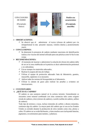 5
“Todo es veneno, Nada es veneno, Todo depende de la dosis“
 OBSERVACIONES:
 Se observó que al administrar el toxico (cloruro de cadmio) por vía
intraperitoneal la rata presentó: nauseas, vómitos diarrea y posteriormente
murió.
 CONCLUSIONES:
 Se determinó la presencia de cadmio mediante reacciones de identificación
realiza a las vísceras del animal utilizado para esta práctica como lo fue la rata
wistar.
 RECOMENDACIONES:
 Al momento de inyectar o administrar la solución de cloruro de cadmio debe
de ser en la zona establecida en la práctica es decir administración peritoneal
y no subcutánea.
 Llevar siempre los materiales adecuados.
 Realizar la asepsia del área de trabajo.
 Utilizar el equipo de protección adecuado: bata de laboratorio, guantes,
mascarilla, zapatones si es necesario.
 Aplicar todas las normas de bioseguridad en el laboratorio.
 Utilizar la cámara de gases para realizar las pruebas y evitamos así
intoxicaciones.
 CUESTIONARIO:
1. ¿QUÉ ES EL CADMIO?
El cadmio es una sustancia natural en la corteza terrestre. Generalmente se
encuentra como mineral combinado con otras sustancias tales como oxígeno
(óxido de cadmio), cloro (cloruro de cadmio), o azufre (sulfato de cadmio, sulfuro
de cadmio).
Todo tipo de terrenos y rocas, incluso minerales de carbón y abonos minerales,
contienen algo de cadmio. La mayor parte del cadmio que se usa en los Estados
Unidos es extraído durante la producción de otros metales como zinc, plomo y
cobre. El cadmio no se oxida fácilmente, y tiene muchos usos incluyendo baterías,
pigmentos, revestimientos para metales, y plásticos.
CON CIANURO
DE SODIO
(Precipitado
blanco)
Positivo no
característico
(Precipitado
amarillo)
 