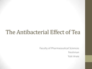 The Antibacterial Effect of Tea

              Faculty of Pharmaceutical Sciences
                                      freshman
                                      Yuki Araie
 