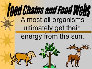 Almost all organisms ultimately get their  energy from the sun. Food Chains and Food Webs 