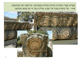 :‫מקודמתה‬ ‫יפה‬ ‫אחת‬ ‫וכל‬ .‫בתערוכה‬ ‫מעליהן‬ ‫וקורות‬ ‫כותרות‬ ‫שברי‬ ‫עשרות‬
‫מגולפת‬ ‫צדפה‬ ‫ובו‬ ‫זר‬ ‫כעין‬ ‫מדליון‬ ,‫עטיף‬ ‫עלי‬ ‫בתוך‬ ‫כותרת‬ ‫עלי‬ – ‫פרח‬
13 ‫נחום-מיניה-חמאם‬ .‫מגדלא-כ‬9-13
 