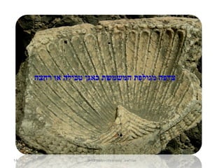 14 ‫נחום-מיניה-חמאם‬ .‫מגדלא-כ‬9-13
‫רחצה‬ ‫או‬ ‫טבילה‬ ‫כאגן‬ ‫המשמשת‬ ‫מגולפת‬ ‫צדפה‬
 