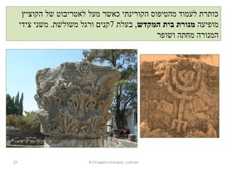 ‫הקוציץ‬ ‫של‬ ‫לאטריבוט‬ ‫מעל‬ ‫כאשר‬ ‫הקורינתי‬ ‫מהטיפוס‬ ‫לעמוד‬ ‫כותרת‬
‫מופיעה‬‫מנורת‬‫המקדש‬ ‫בית‬‫בעלת‬ ,7‫צידי‬ ‫משני‬ .‫משולשת‬ ‫ורגל‬ ‫קנים‬
‫ושופר‬ ‫מחתה‬ ‫המנורה‬
21 ‫נחום-מיניה-חמאם‬ .‫מגדלא-כ‬9-13
 