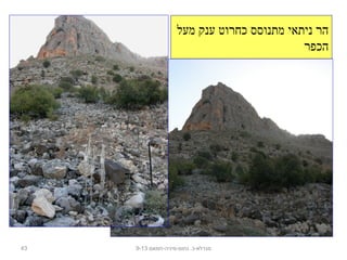 ‫מעל‬ ‫ענק‬ ‫כחרוט‬ ‫מתנוסס‬ ‫ניתאי‬ ‫הר‬
‫הכפר‬
43 ‫נחום-מיניה-חמאם‬ .‫מגדלא-כ‬9-13
 