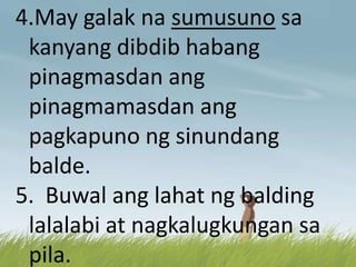 4.May galak na sumusuno sa
kanyang dibdib habang
pinagmasdan ang
pinagmamasdan ang
pagkapuno ng sinundang
balde.
5. Buwal ang lahat ng balding
lalalabi at nagkalugkungan sa
pila.
 