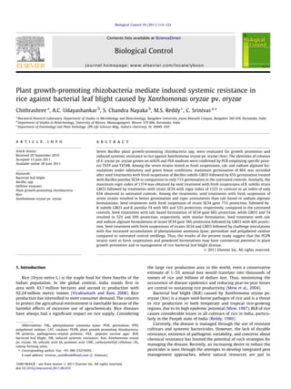 Plant growth-promoting rhizobacteria mediate induced systemic resistance in
rice against bacterial leaf blight caused by Xanthomonas oryzae pv. oryzae
Chithrashree a
, A.C. Udayashankar b
, S. Chandra Nayaka b
, M.S. Reddy c
, C. Srinivas a,⇑
a
Biocontrol Research Laboratory, Department of Studies in Microbiology and Biotechnology, Bangalore University, Jnana Bharathi Campus, Bangalore 560 056, Karnataka, India
b
Department of Studies in Biotechnology, University of Mysore, Manasagangotri, Mysore 570 006, Karnataka, India
c
Department of Entomology and Plant Pathology, 209 Life Sciences Bldg., Auburn University, AL 36849, USA
a r t i c l e i n f o
Article history:
Received 20 September 2010
Accepted 13 June 2011
Available online 28 June 2011
Keywords:
Bacterial leaf blight
Bacillus spp.
Defense enzymes
Plant growth-promoting rhizobacteria
Rice
Xanthomonas oryzae pv. oryzae
a b s t r a c t
Seven Bacillus plant growth-promoting rhizobacteria spp. were evaluated for growth promotion and
induced systemic resistance in rice against Xanthomonas oryzae pv. oryzae (Xoo). The identities of colonies
of X. oryzae pv. oryzae grown on mXOS and PSA medium were conﬁrmed by PCR employing speciﬁc prim-
ers TXTF and TXT4R. Among the seven strains tested as fresh suspensions, talc and sodium alginate for-
mulations under laboratory and green house conditions, maximum germination of 86% was recorded
after seed treatments with fresh suspension of Bacillus subtilis GBO3 followed by 85% germination treated
with Bacillus pumilus SE34 in comparison to only 71% germination in the untreated controls. Similarly, the
maximum vigor index of 1374 was obtained by seed treatment with fresh suspensions of B. subtilis strain
GBO3 followed by treatments with strain SE34 with vigor index of 1323 in contrast to an index of only
834 observed in untreated controls. Among the treatments, seed treatments with fresh suspension of
seven strains resulted in better germination and vigor assessments than talc based or sodium alginate
formulations. Seed treatments with fresh suspension of strain SE34 gave 71% protection, followed by
B. subtilis GBO3 and B. pumilus T4 with 58% and 52% protection, respectively, compared to the untreated
controls. Seed treatments with talc based formulation of SE34 gave 66% protection, while GBO3 and T4
resulted in 52% and 50% protection, respectively, with similar formulation. Seed treatment with talc
and sodium alginate formulations of strain SE34 gave 58% protection followed by GBO3 with 40% protec-
tion. Seed treatment with fresh suspensions of strains SE34 and GBO3 followed by challenge inoculations
with Xoo increased accumulation of phenylalanine ammonia lyase, peroxidase and polyphenol oxidase
compared to untreated control seedlings. Thus, the results of the present study suggest that the PGPR
strains used as fresh suspensions and powdered formulations may have commercial potential in plant
growth promotion and in management of rice bacterial leaf blight disease.
Ó 2011 Elsevier Inc. All rights reserved.
1. Introduction
Rice (Oryza sativa L.) is the staple food for three fourths of the
Indian population. In the global context, India stands ﬁrst in
area with 43.7 million hectares and second in production with
92.24 million metric tonnes (Viraktamath and Rani, 2008). Rice
production has intensiﬁed to meet consumer demand. The concern
to protect the agricultural environment is inevitable because of the
harmful effects of excessive use of agrochemicals. Rice diseases
have always had a signiﬁcant impact on rice supply. Considering
the large rice production area in the world, even a conservative
estimate of 1–5% annual loss would translate into thousands of
tonnes of rice and billions of dollars lost. Thus, minimizing the
occurrence of disease epidemics and reducing year-to-year losses
are central to sustaining rice productivity (Mew et al., 2004).
Bacterial leaf blight (BLB) caused by Xanthomonas oryzae pv.
oryzae (Xoo) is a major seed-borne pathogen of rice and is a threat
to rice production in both temperate and tropical rice-growing
regions, due to its high epidemic potential (Mew, 1987). BLB of rice
causes considerable losses in all cultivars of rice in India, particu-
larly in the Punjab state of India (Reddy, 1980).
Currently, the disease is managed through the use of resistant
cultivars and systemic bactericides. However, the lack of durable
resistance, existence of pathogenic variability, and concerns about
chemical resistance has limited the potential of such strategies for
managing the disease. Recently, an increasing desire to reduce the
pesticides is seen through the attempts to develop integrated pest
management approaches, where natural resources are put to
1049-9644/$ - see front matter Ó 2011 Elsevier Inc. All rights reserved.
doi:10.1016/j.biocontrol.2011.06.010
Abbreviations: PAL, phenylalanine ammonia lyase; POX, peroxidase; PPO,
polyphenol oxidase; CAT, catalase; PGPR, plant growth promoting rhizobacteria;
PR proteins, pathogenesis-related proteins; PSA, peptone sucrose agar; BLB,
bacterial leaf blight; ISR, induced systemic resistance; Xoo, Xanthomonas oryzae
pv. oryzae; SA, salicylic acid; JA, jasmonic acid; CMC, carboxymethyl cellulose; cfu,
colony forming units.
⇑ Corresponding author. Fax: +91 080 23219295.
E-mail address: srinivas_uom@rediffmail.com (C. Srinivas).
Biological Control 59 (2011) 114–122
Contents lists available at ScienceDirect
Biological Control
journal homepage: www.elsevier.com/locate/ybcon
 