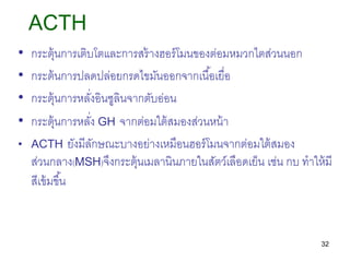 32
ACTH
• กระตุ้นการเติบโตและการสร้างฮอร์โมนของต่อมหมวกไตส่วนนอก
• กระต้นการปลดปล่อยกรดไขมันออกจากเนื้อเยื่อ
• กระตุ้นการหลั่งอินซูลินจากตับอ่อน
• กระตุ้นการหลั่ง GH จากต่อมใต้สมองส่วนหน้า
• ACTH ยังมีลักษณะบางอย่างเหมือนฮอร์โมนจากต่อมใต้สมอง
ส่วนกลาง(MSH)จึงกระตุ้นเมลานินภายในสัตว์เลือดเย็น เช่น กบ ทาให้มี
สีเข้มขึ้น
 