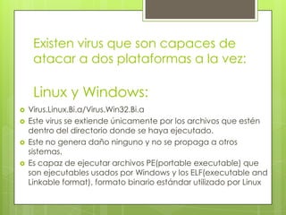 Existen virus que son capaces de
atacar a dos plataformas a la vez:
Linux y Windows:
 Virus.Linux.Bi.a/Virus.Win32.Bi.a
 Este virus se extiende únicamente por los archivos que estén
dentro del directorio donde se haya ejecutado.
 Este no genera daño ninguno y no se propaga a otros
sistemas.
 Es capaz de ejecutar archivos PE(portable executable) que
son ejecutables usados por Windows y los ELF(executable and
Linkable format), formato binario estándar utilizado por Linux
 