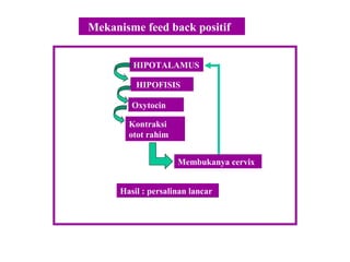 Mekanisme feed back positif
HIPOFISIS
HIPOTALAMUS
Membukanya cervix
Kontraksi
otot rahim
Hasil : persalinan lancar
Oxytocin
 