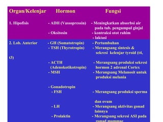 Organ/Kelenjar Hormon Fungsi
1. Hipofisis - ADH (Vassopressin) - Meningkatkan absorbsi air
pada tub. pengumpul ginjal
- Oksitosin - kontraksi otot rahim
- laktasi
2. Lob. Anterior - GH (Somatotropin) - Pertumbuhan
- TSH (Thyrotropin) - Merangsang sintesis &
sekresi kelenjar tyroid (t4,
t3)
- ACTH - Merangsang produksi sekresi
(Adenokotikotropin) hormon 2 adrenal Cortex
- MSH - Merangsang Melanosit untuk
produksi melania
- Gonadotropin
- FSH - Merangsang produksi sperma
dan ovum
- LH - Merangsang aktivitas gonad
lainnya
- Prolaktin - Merangsang sekresi ASI pada
 