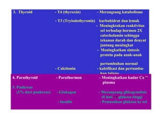 3. Thyroid - T4 (thyroxin) - Merangsang katabolisme
- T3 (Tryiodothyronin) karbohidrat dan lemak
- Meningktakan reaktivitas
sel terhadap hormon 2X
catecholamin sehingga
tekanan darah dan denyut
jantung meningkat
- Meningkatkan sintesis
protein pada anak-anak
pertumbuhan normal
- Calcitonin - kalsifikasi dan pertumbu-
han tulang
4. Parathyroid - Parathormon - Meningkatkan kadar Ca 2+
plasma
5. Pankreas
(1% dari pankreas) - Glukagon - Merangsang glikogenolisis
di hati : glukosa tinggi
- Insulin - Pemasukan glukosa ke sel
 