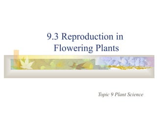 9.3 Reproduction in
Flowering Plants
Topic 9 Plant Science
 