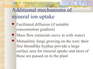 Additional mechanisms of
mineral ion uptake
 Facilitated diffusion (if suitable
concentration gradient)
 Mass flow (minerals move in with water)
 Mutualistic fungi growing on the root: their
fine threadlike hyphae provide a large
surface area for mineral uptake and most of
these are passed on to the plant
 