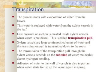 Transpiration
 The process starts with evaporation of water from the
leaves.
 This water is replaced with water from the xylem vessels in
the leaf.
 Low pressure or suction is created inside xylem vessels
when water is pulled out. This is called transpiration pull.
 Xylem vessels are long continuous columns of water and
this transpiration pull is transmitted down to the roots.
 The transmission of the transpiration pull through the
xylem vessels depends on the cohesion of water molecules,
due to hydrogen bonding.
 Adhesion of water to the wall of vessels is also important
when water starts to rise up the vessel again in spring.
 