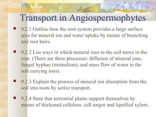 Transport in Angiospermophytes
 9.2.1 Outline how the root system provides a large surface
area for mineral ion and water uptake by means of branching
and root hairs.
 9.2.2 List ways in which mineral ions in the soil move to the
root. (There are three processes: diffusion of mineral ions,
fungal hyphae (mutualism), and mass flow of water in the
soil carrying ions).
 9.2.3 Explain the process of mineral ion absorption from the
soil into roots by active transport.
 9.2.4 State that terrestrial plants support themselves by
means of thickened cellulose, cell turgor and lignified xylem.
 