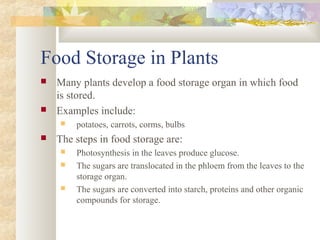 Food Storage in Plants
 Many plants develop a food storage organ in which food
is stored.
 Examples include:
 potatoes, carrots, corms, bulbs
 The steps in food storage are:
 Photosynthesis in the leaves produce glucose.
 The sugars are translocated in the phloem from the leaves to the
storage organ.
 The sugars are converted into starch, proteins and other organic
compounds for storage.
 